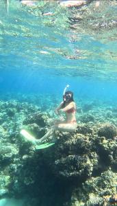 Whaleshark open trip