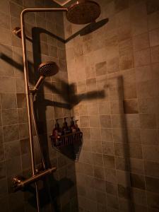 Apt MehrMeer DG mit Sauna Pool Fitness