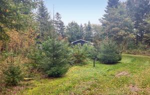 3 Bedroom Awesome Home In Højslev