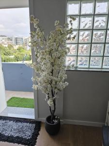 Bright 3-Bedroom Apartment - Boavista & Casa da Música