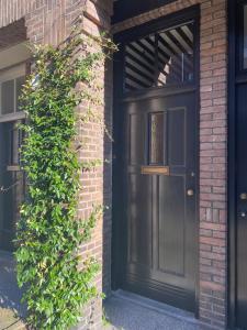 Luxury apartment top location