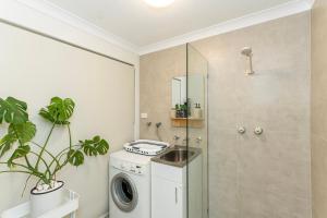 Coastal Comfort 1 King, 2 Queen beds with Park Views