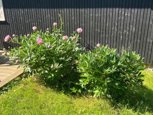 Summerhouse Denmark in Tisvildeleje 700 m walk from beach