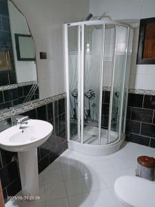 Zamalek side Nile view apartment