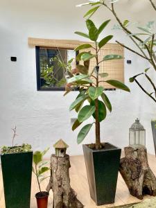 Unica Hija Hometel by TahZora