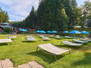 Studio Lesní plovárna by Interhome