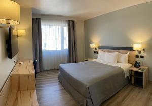 Diego de Almagro Providencia Express