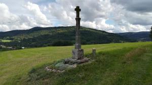 Eco-friendly chalet with private hot tub, Vosges mountain