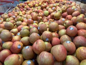 Platinum Home 202TDH