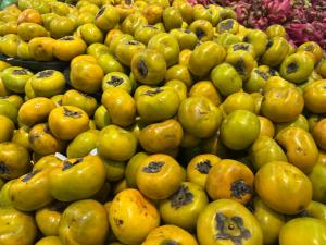 Platinum Home 202TDH