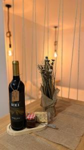 Old Aqueduct Village 2 - Guesthouse Madeira