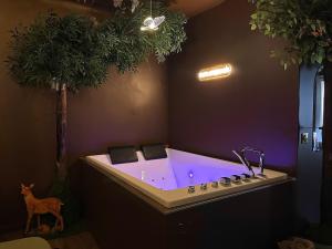 Suite Love Room enchantée avec Balnéo, Var