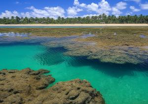 Paraíso da Bahia