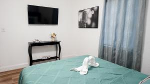 Cozy Tampa Getaway, 2 Bedrooms, minutes from Downtown & Busch Gardens