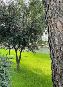 Casa de campo a 15 minutos de Toledo