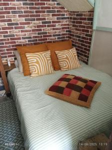 Room - Les loups bleus