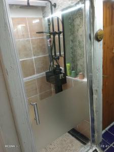 Room - Les loups bleus