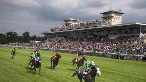 Large house near Chantilly & CDG