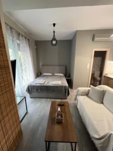 Μοντέρνο στούντιο στη δάφνη