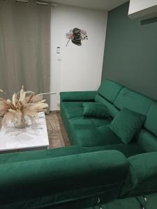 De lAmazone à la Savane