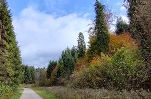 Szept - Biały Domek