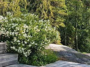 Peaceful Island Home near Sea