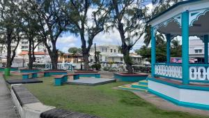 Villa Flamboyant at Hastings by Coastal View7