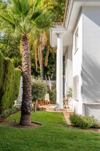 Aurora Boutique - Only Adults