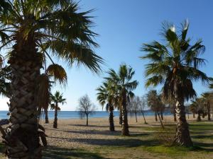 Studio vue exceptionnelle sur Port Frejus