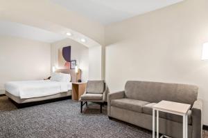 Spark by Hilton Kingsland