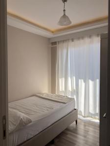 Maraş Blue Life Suit