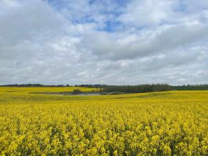 6 person holiday home in Thisted-By Traum