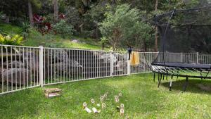 Walk To Beach, Pet Friendly Trampoline