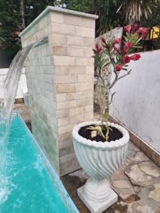 Solange apartment-Casa em Ilheus-Olivença