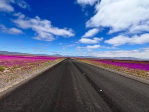 Departamento en Bahía Inglesa full equipado - Wifi y cable