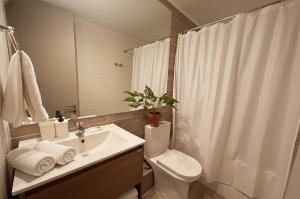 Santiago Centro I Eventos Movistar Arena