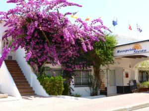 Siesta Mar Apartamentos Ibiza