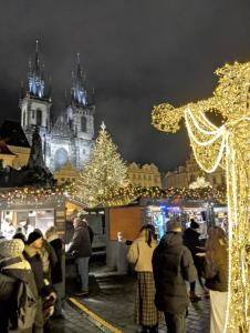 Rooseveltova Apartment Near Castle