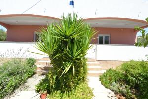 Apartments by the sea Vir - 24953