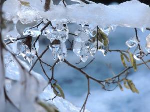 Studio mezzanine cosy pour 4 pers avec casier à skis, proche centre-ville - FR-1-234-342