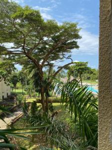 Diani Sea Side Studios