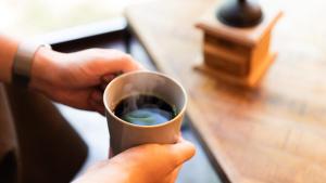 rinne 那須 Forest2