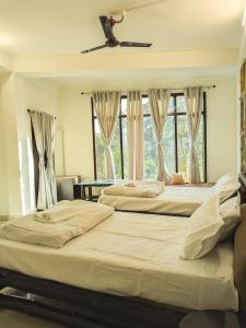 Dzukou Lodge - Boutique Homestay in Viswema