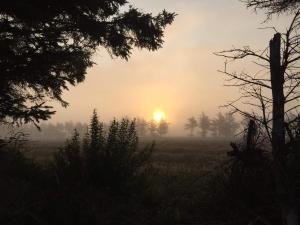 8 person holiday home in Ulfborg