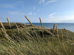 8 person holiday home in Ulfborg