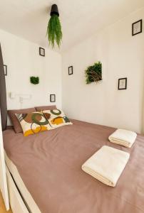 Vue imprenable sur les Alpes et Parking privé gratuit