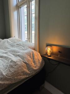 57 Hideaway - stay at old town 57sqm apt Oslo centre