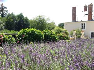 B&B / Chambres d'hotes Chateau de Moison, Domaine Eco Nature : photos des chambres