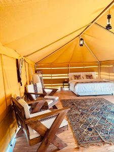 Desert Vibes Camp