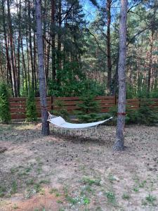 Forest Home Dębowa 18